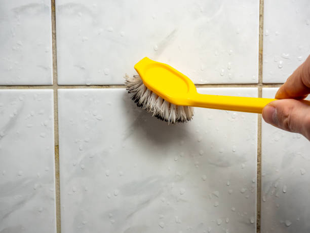 Best Post-Flood Mold Remediation in Ferrysburg, MI