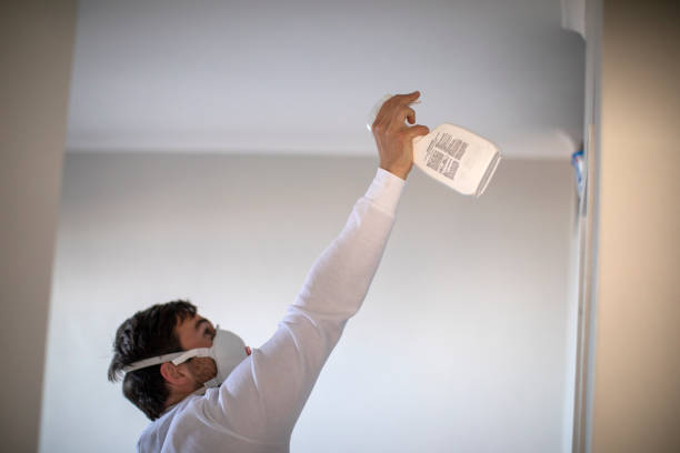 Best Post-Flood Mold Remediation in Ferrysburg, MI