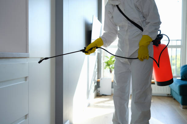 Best Commercial Mold Remediation in Ferrysburg, MI