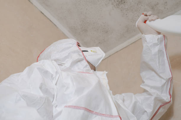 Best Industrial Mold Remediation in Ferrysburg, MI